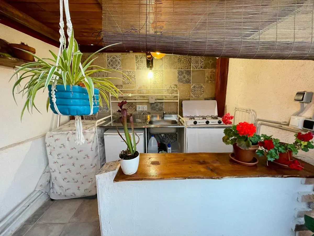 Villa Casa Dionea, Puerto De La Cruz Hébergement de vacances Puerto de la Cruz (Tenerife)